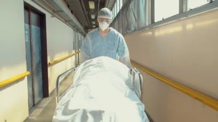 Entre a Vida e a Morte